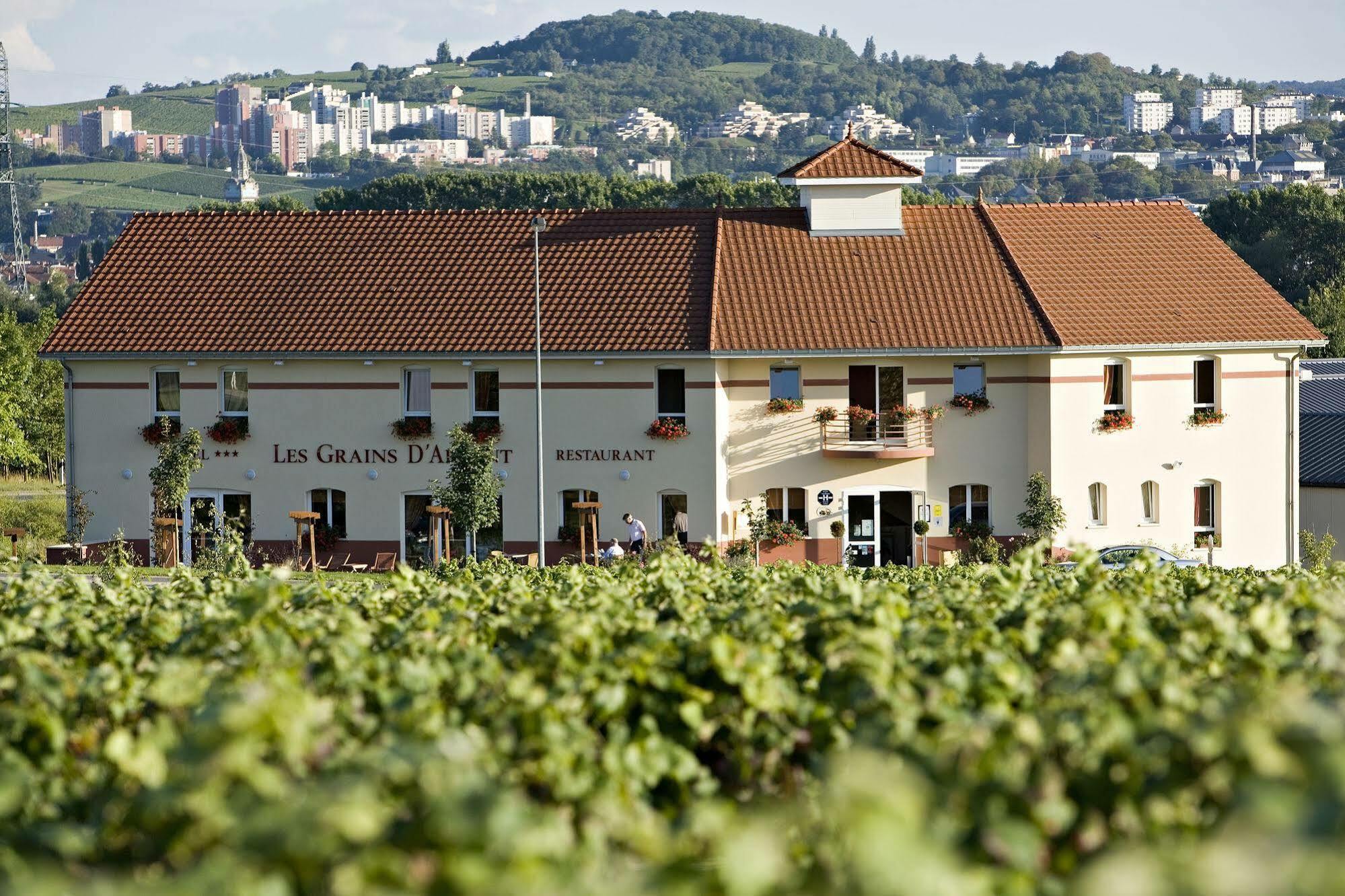 Les Grains D'Argent Dizy - Epernay Hotel Buitenkant foto